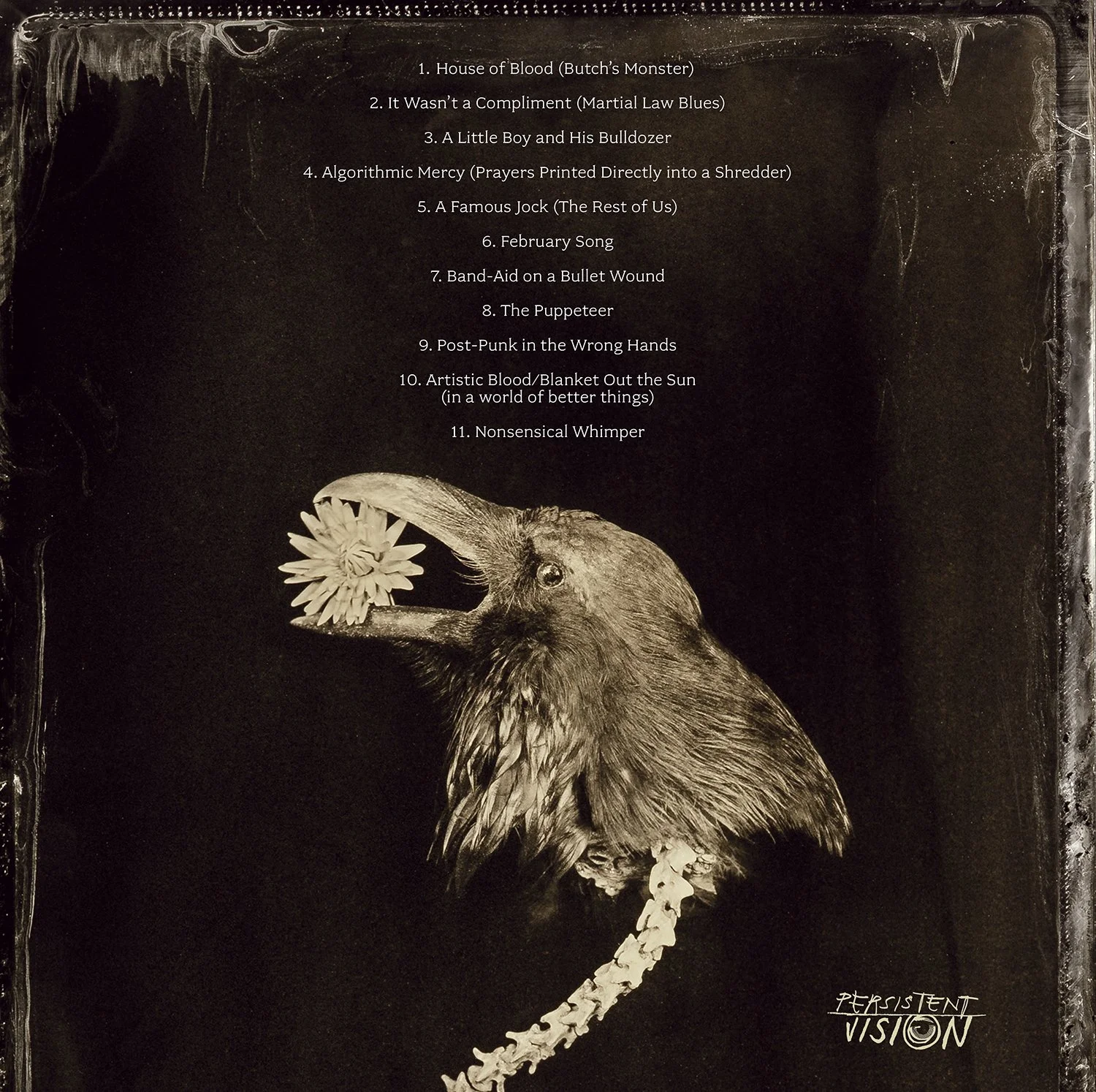 Pygmy Lush's TOTEM Album Illustration and Design — PAUL NITSCHE